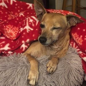 Meet your Posher, Haley